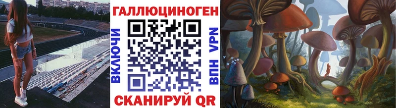 гидра ссылка  Суздаль  Псилоцибиновые грибы ЛСД 