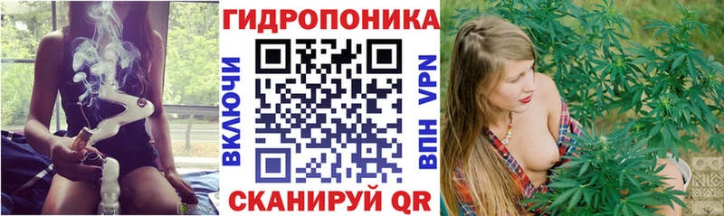Каннабис SATIVA & INDICA  даркнет сайт  Суздаль 
